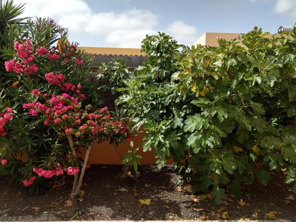La Casita Villa La Oliva España